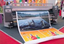 in decal tai binh duong 2669 2